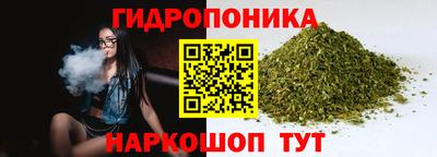 винт Нальчик