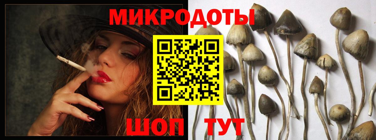 Кокаин Кашира